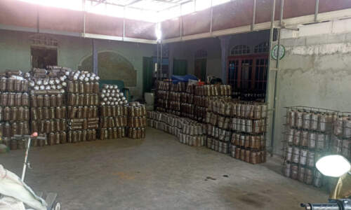 Sumber Jamur Somoroto
